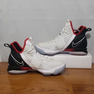 Nike Lebron XIV The Flip Switch Mens Size 10